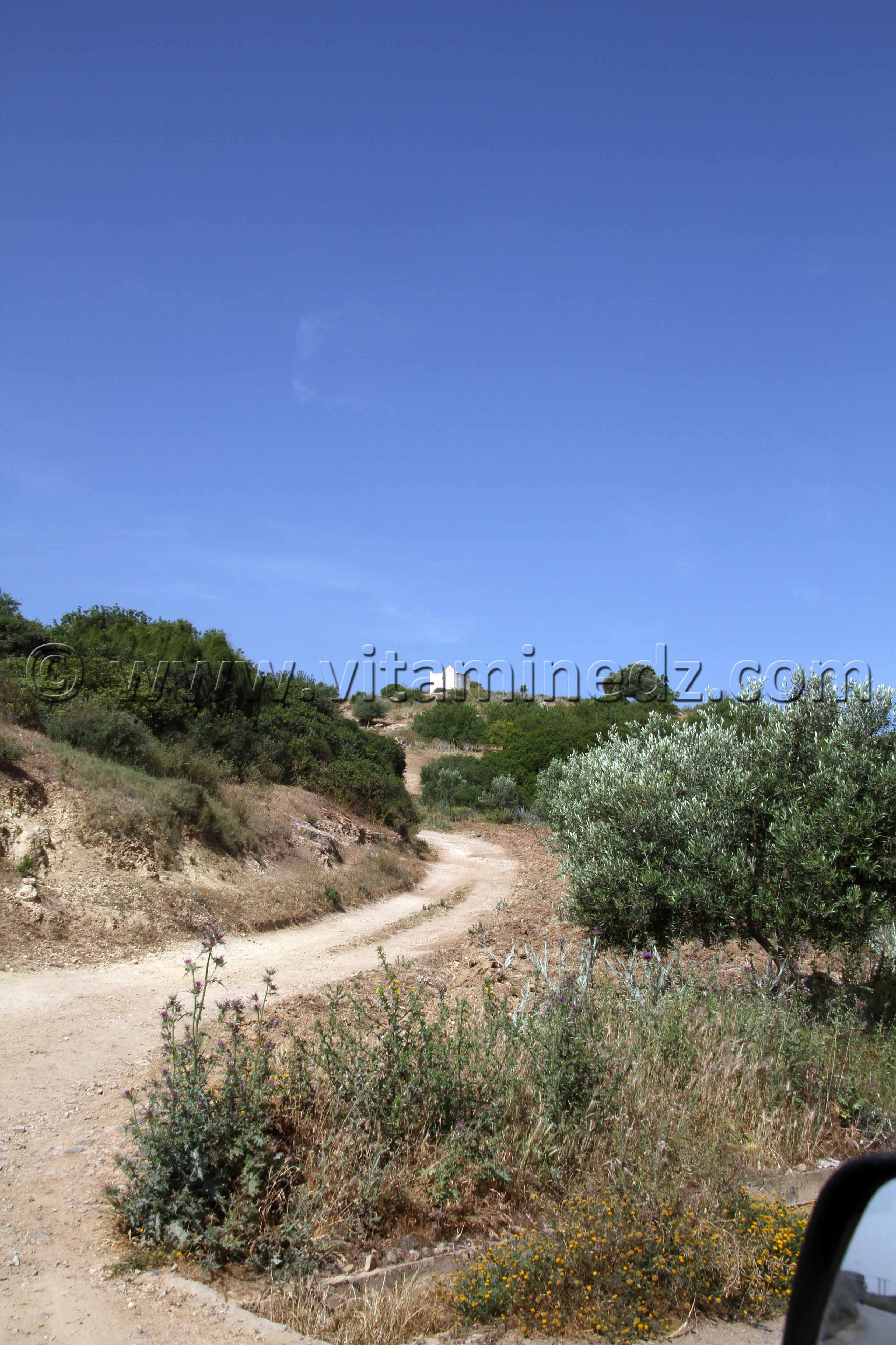 Marabout - Beni Ouarsous - Wilaya de Tlemcen