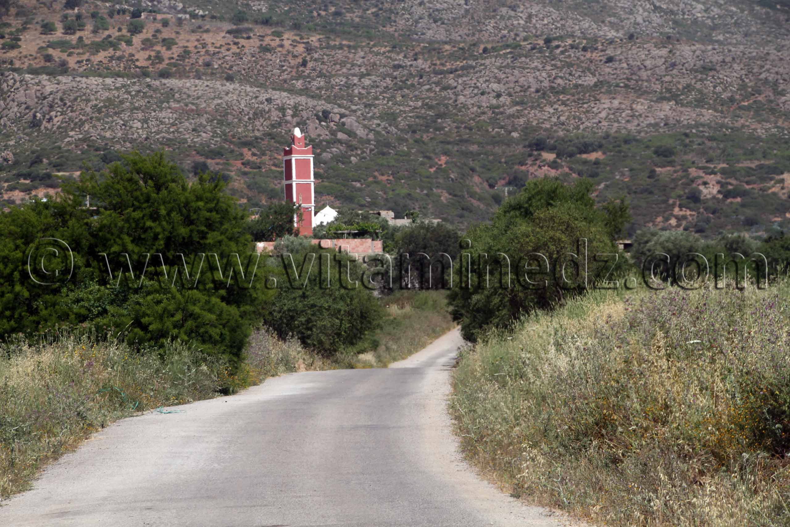 Zarou (Zaghou) Beni Ouarsous - Wilaya de Tlemcen