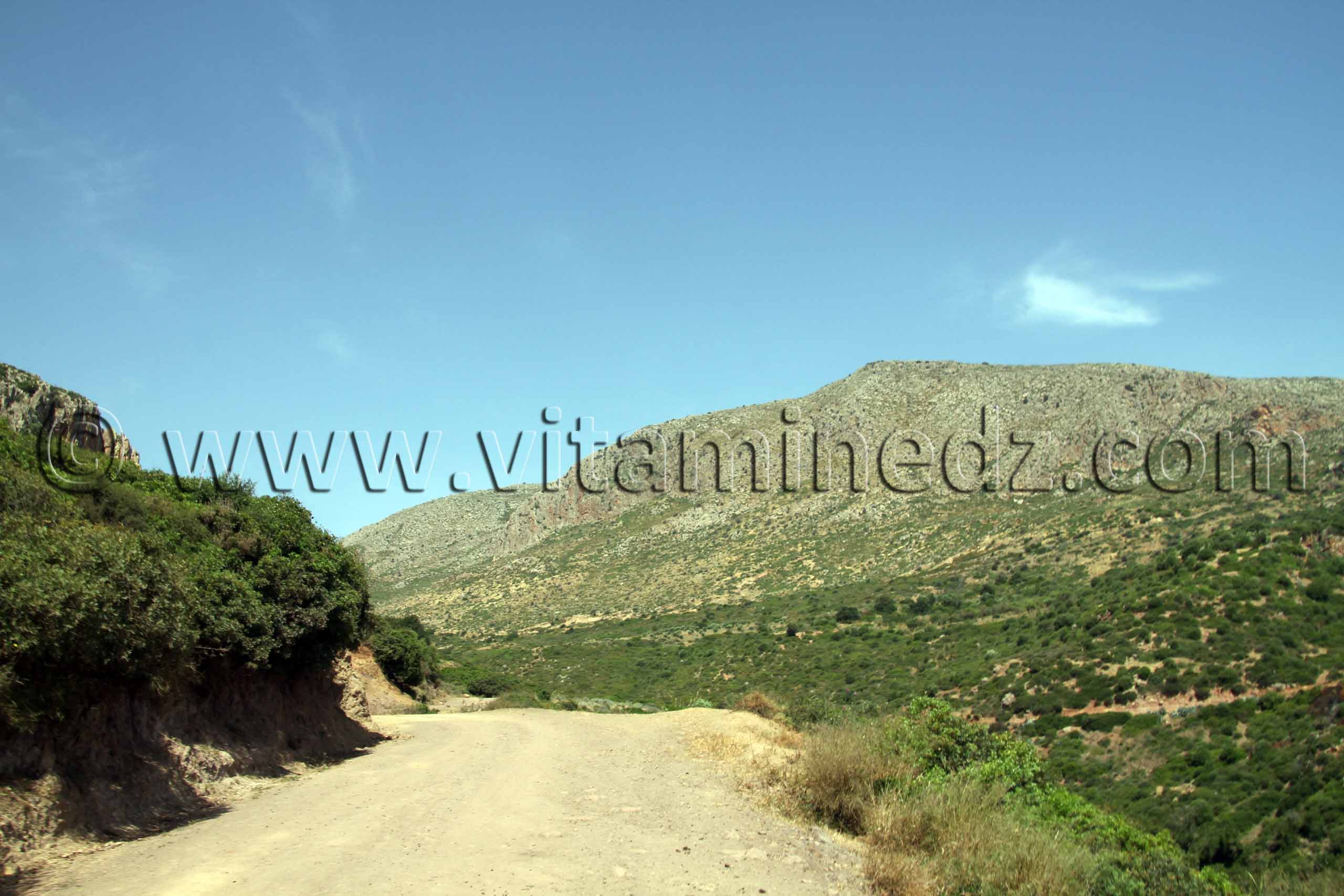 Montagnes des Beni Ouarsous - Wilaya de Tlemcen
