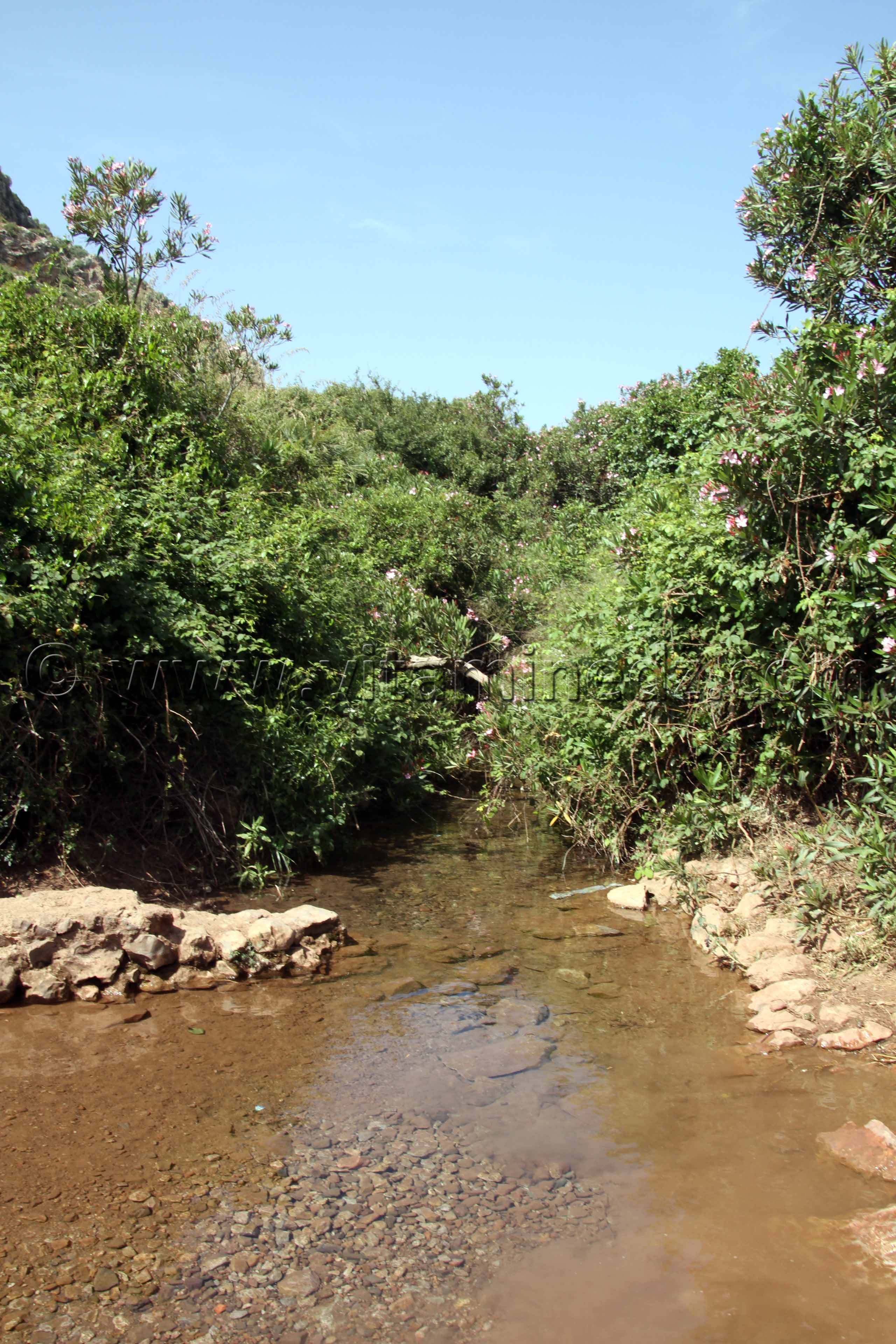 Source d'eau dans les montagnes des Beni Ouarsous - Wilaya de Tlemcen