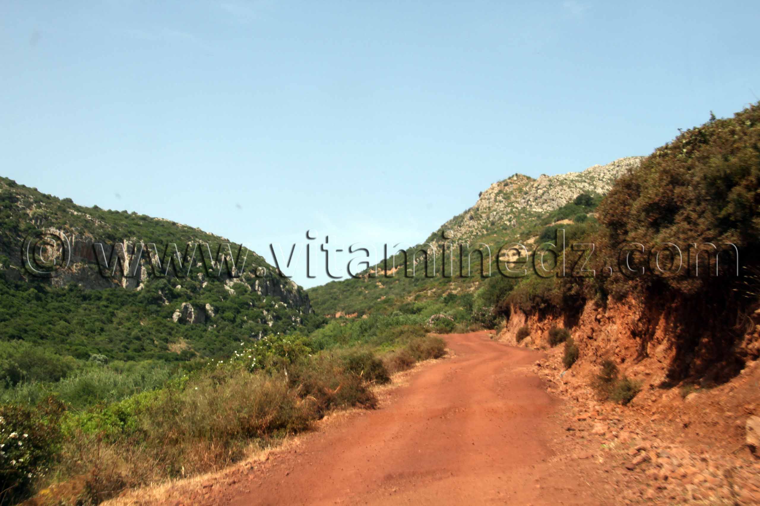 Piste au milieu des montagnes des Beni Ouarsous - Wilaya de Tlemcen