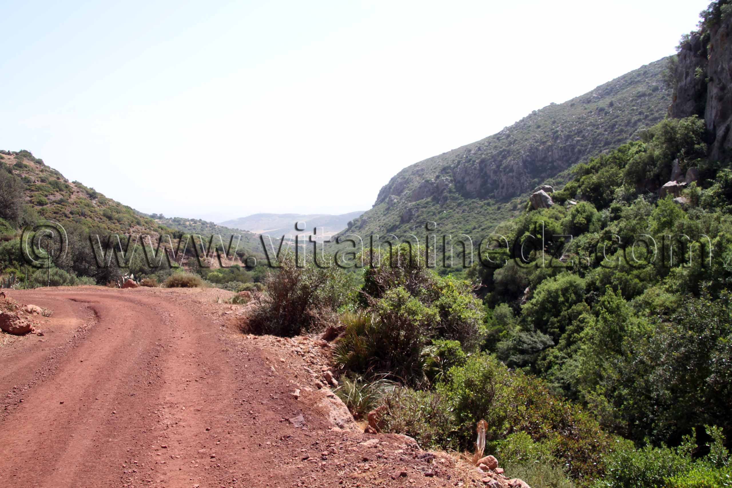 Au beau milieu des Beni Ouarsous - Wilaya de Tlemcen