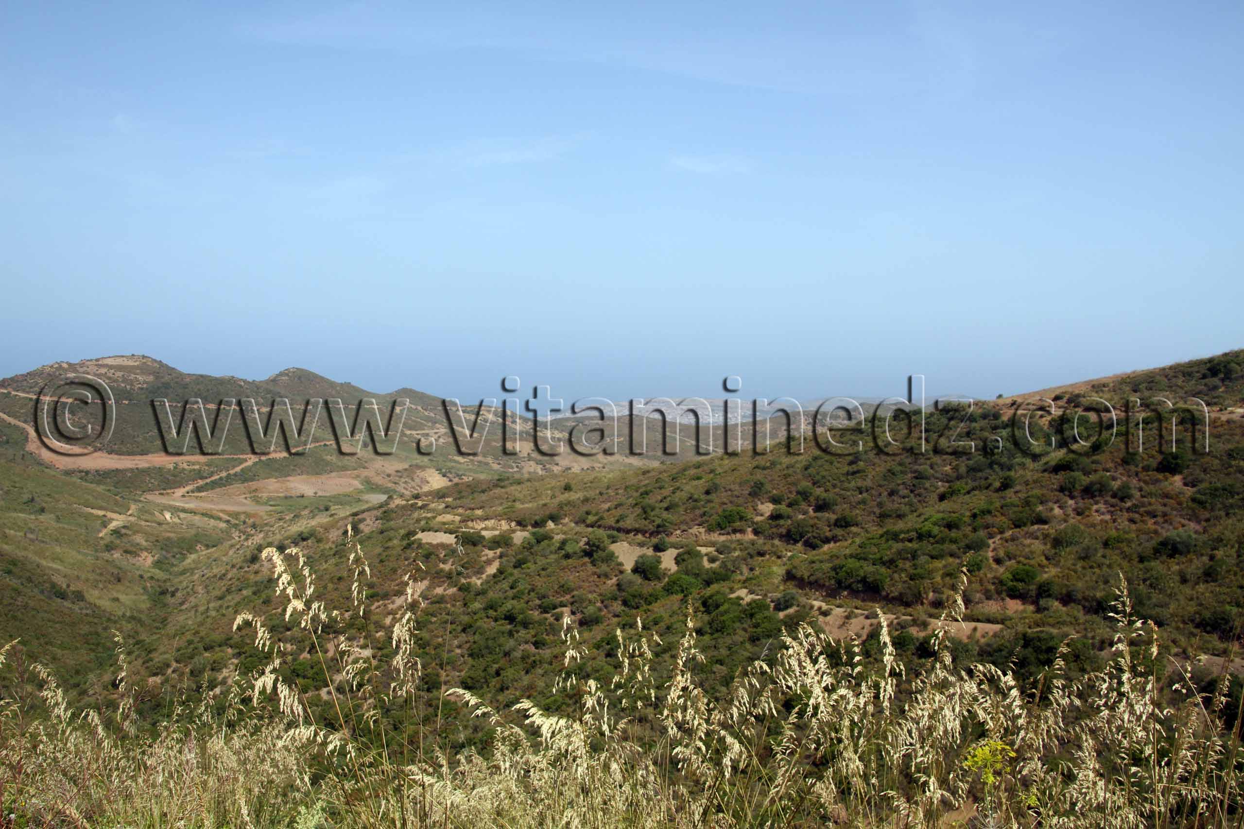 Djbel Sidi Soufiane, Beni Ouarsous - Wilaya de Tlemcen