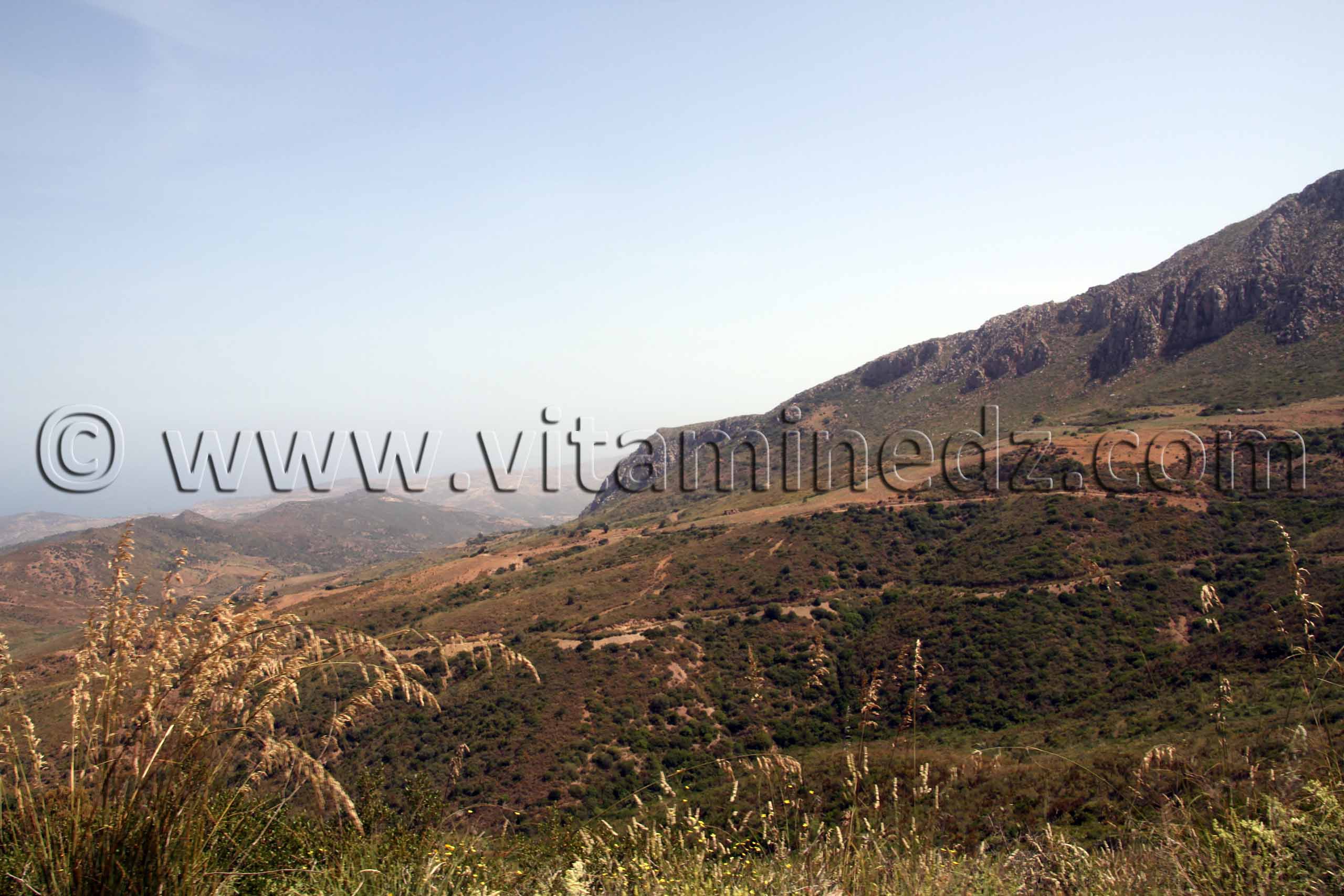 Djbel Sidi Sofiane, Beni Ouarsous - Wilaya de Tlemcen