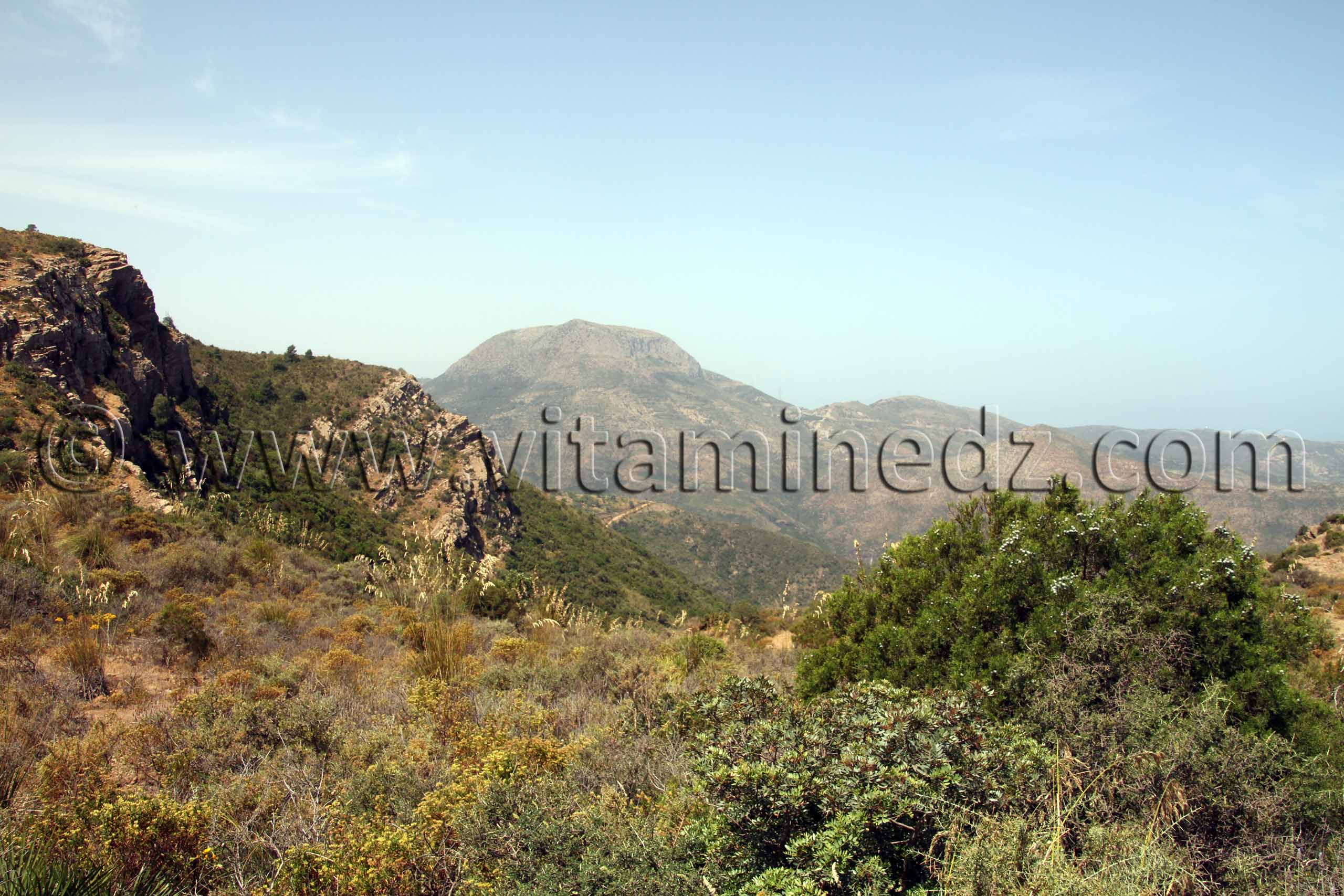 Djbel El Gorine, Beni Ouarsous - Wilaya de Tlemcen