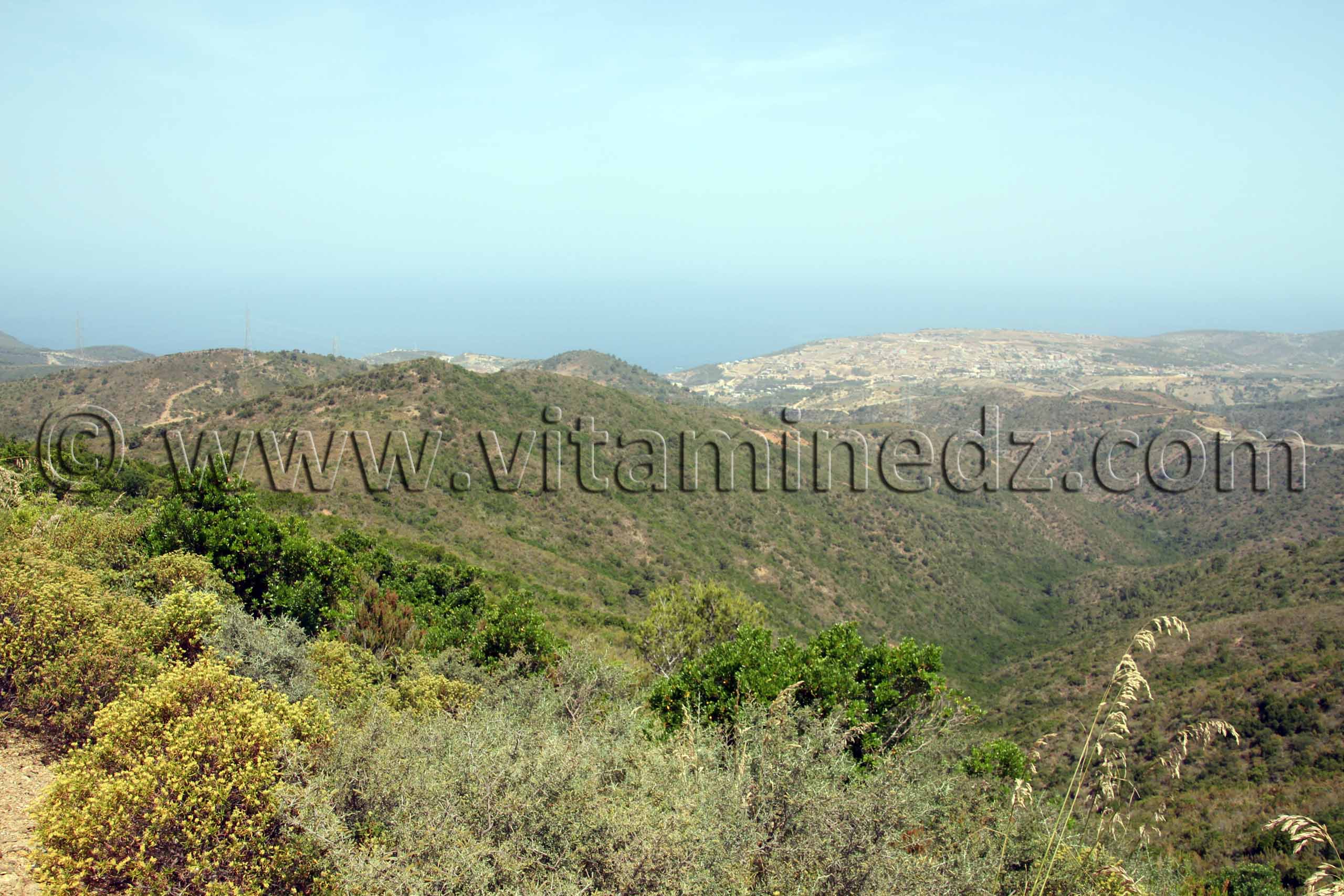 Honaine vue des Beni Ouarsous - Wilaya de Tlemcen