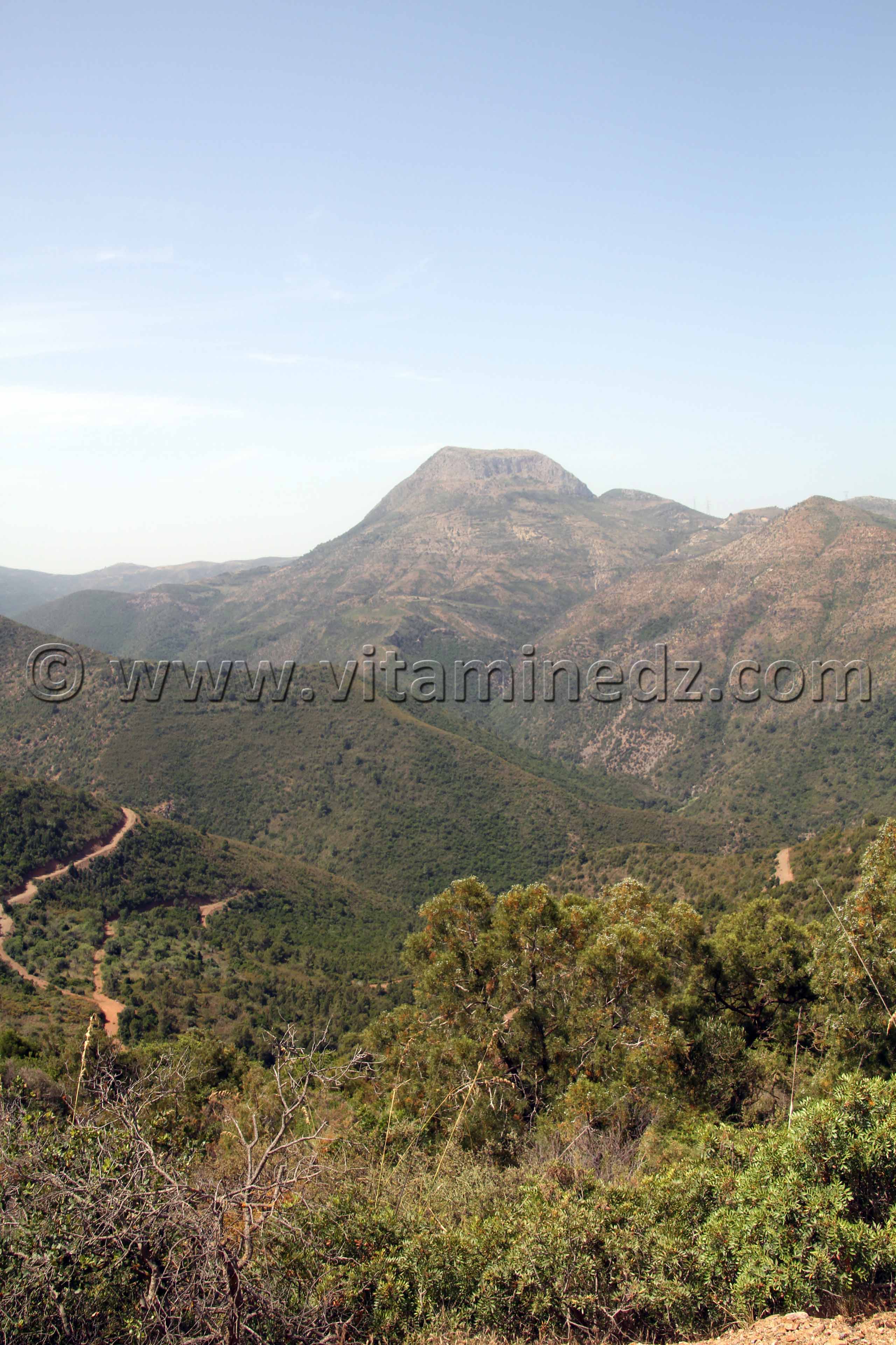 Honaïne, Mont Tadjra lieu de naissance d'Abdelmoumen Ben Ali fondateur de la dynastie des Almohades.