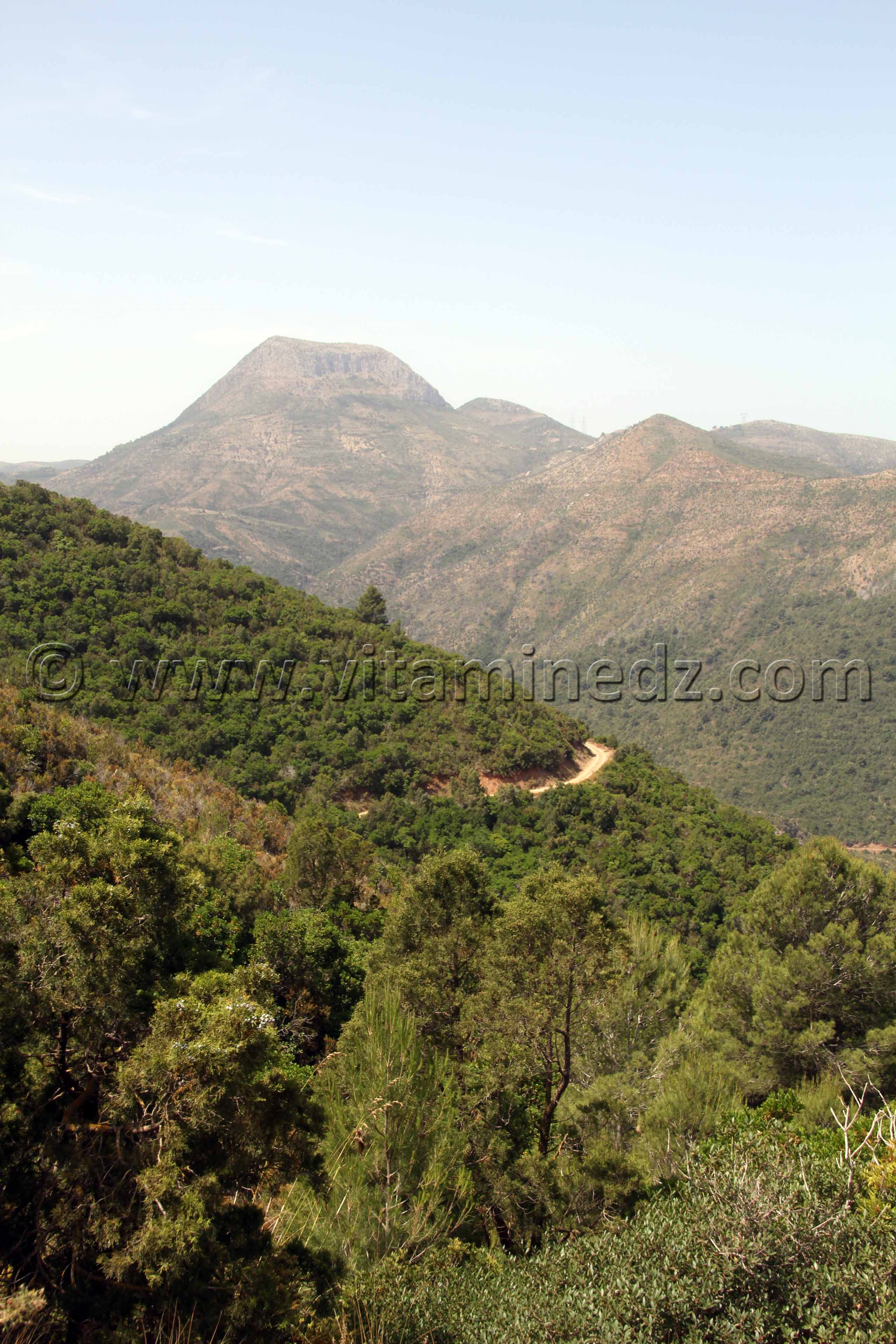 La colline de Tajra surplond la ville de Honaine