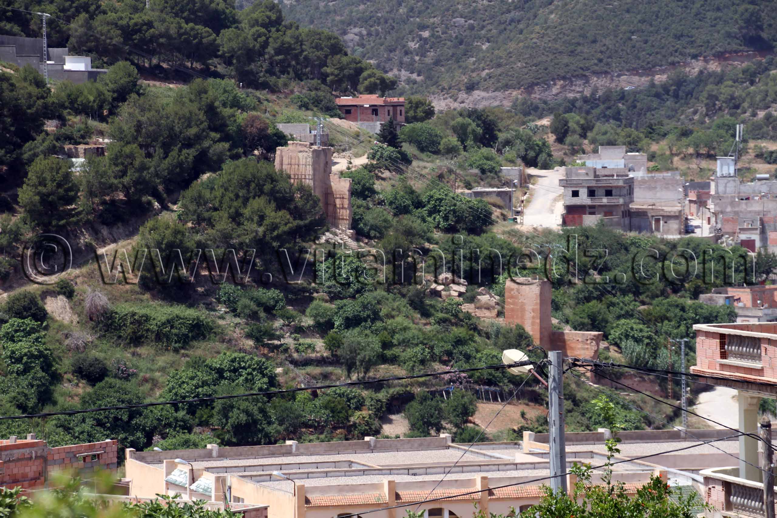 Honaïne, Vestiges almohades