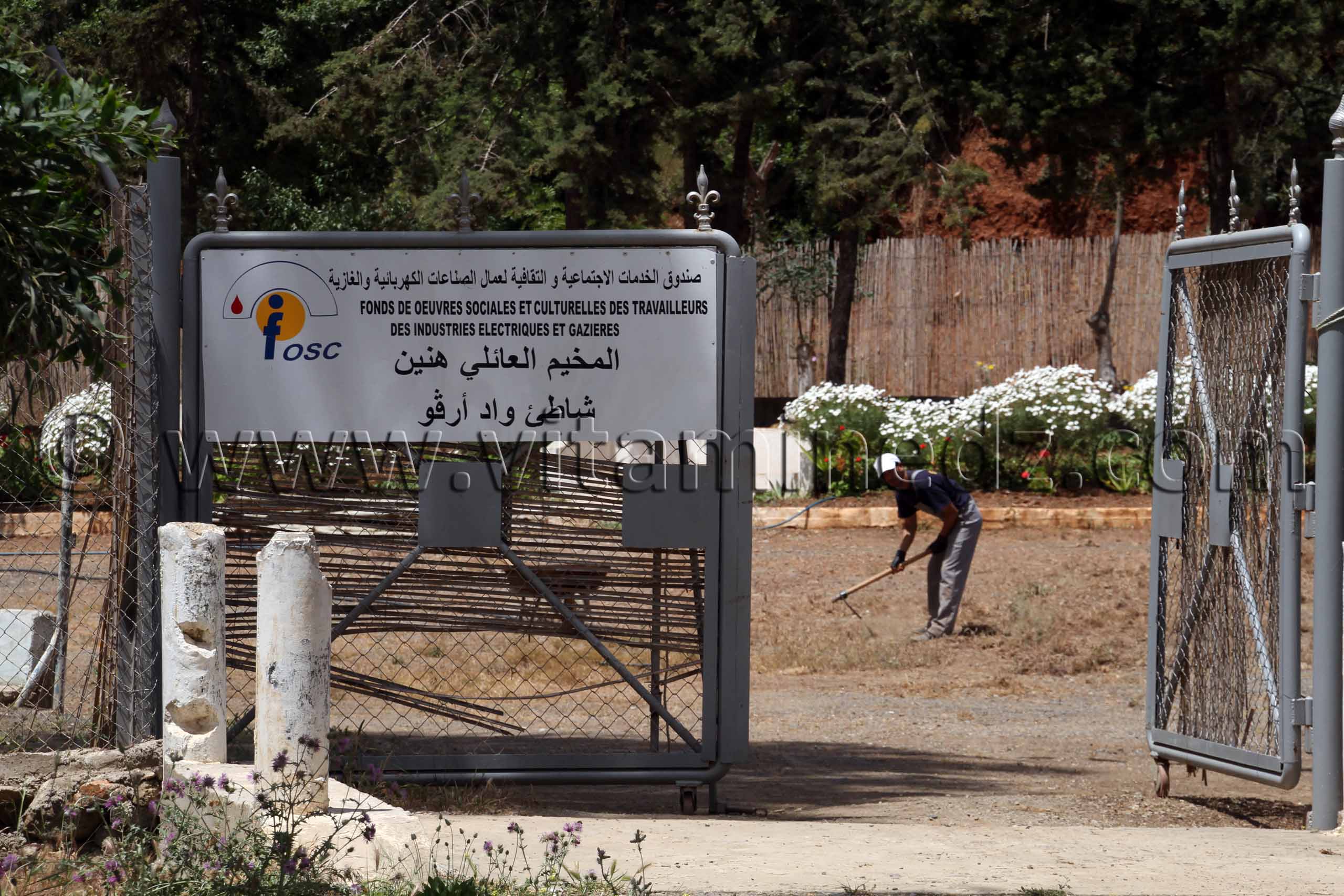 Honaïne, camp de vacances familial, plage Oued Argou