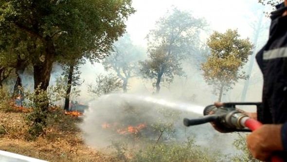 Algérie - Des mesures pour prévenir les feux de forêts en 2014 (ministre)