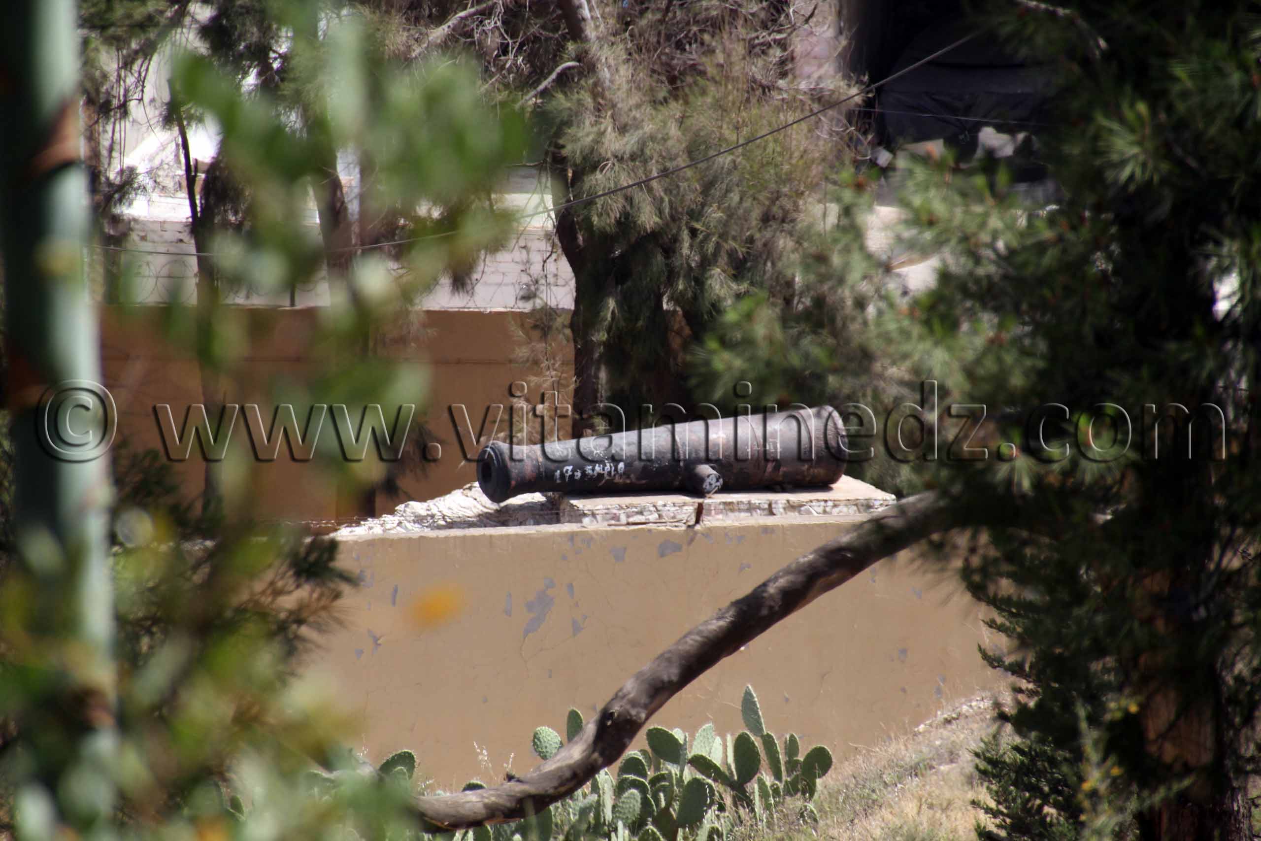 Ghazaouet, Un ancien canon ...