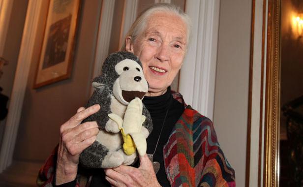 Planète - Jane Goodall: «Comment se fait-il que ce soit l’espèce la plus intelligente qui soit en train de détruire la planète?»