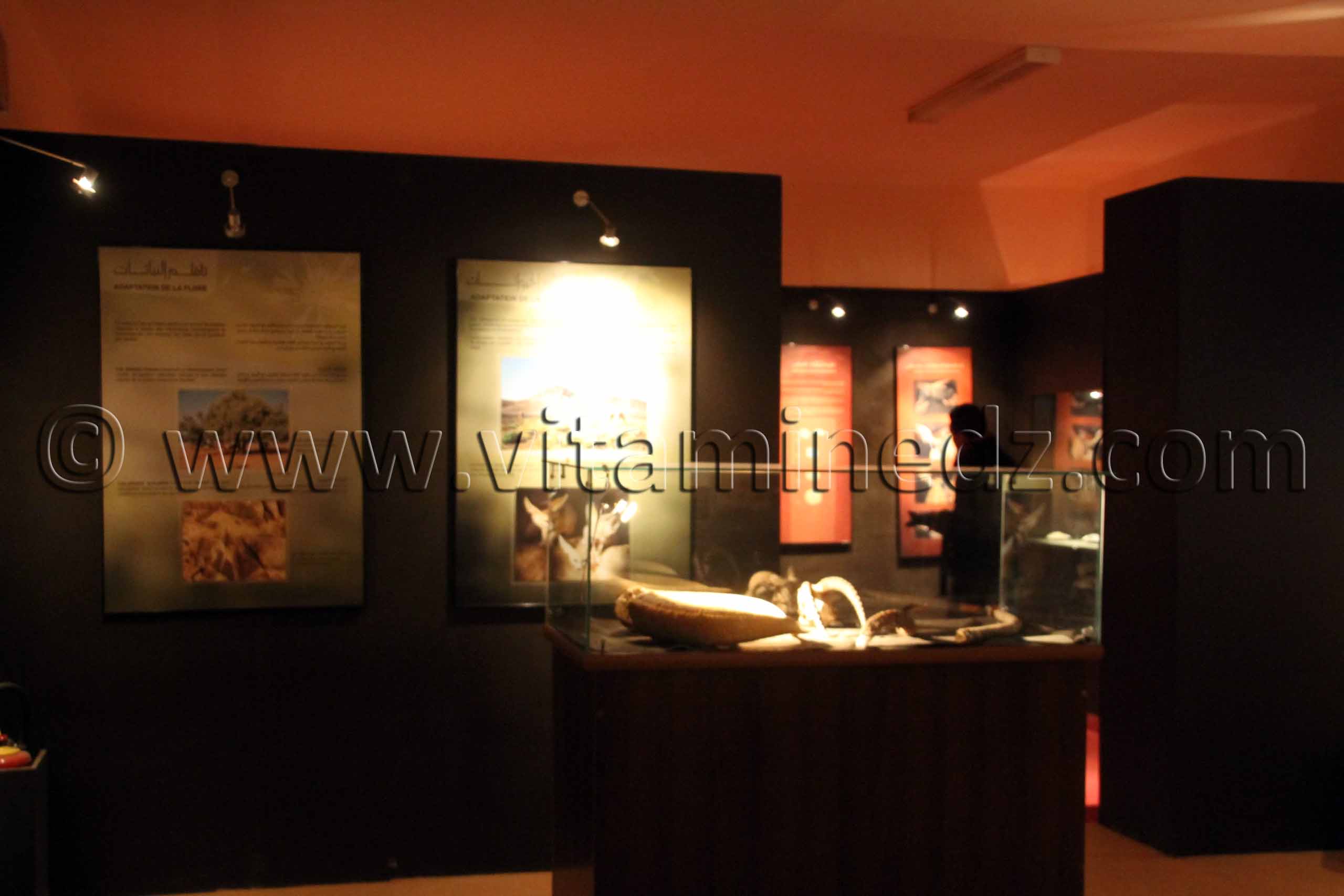 Tamanrasset, Musée de l'Ahaggar (parc culturel de l’Ahaggar)