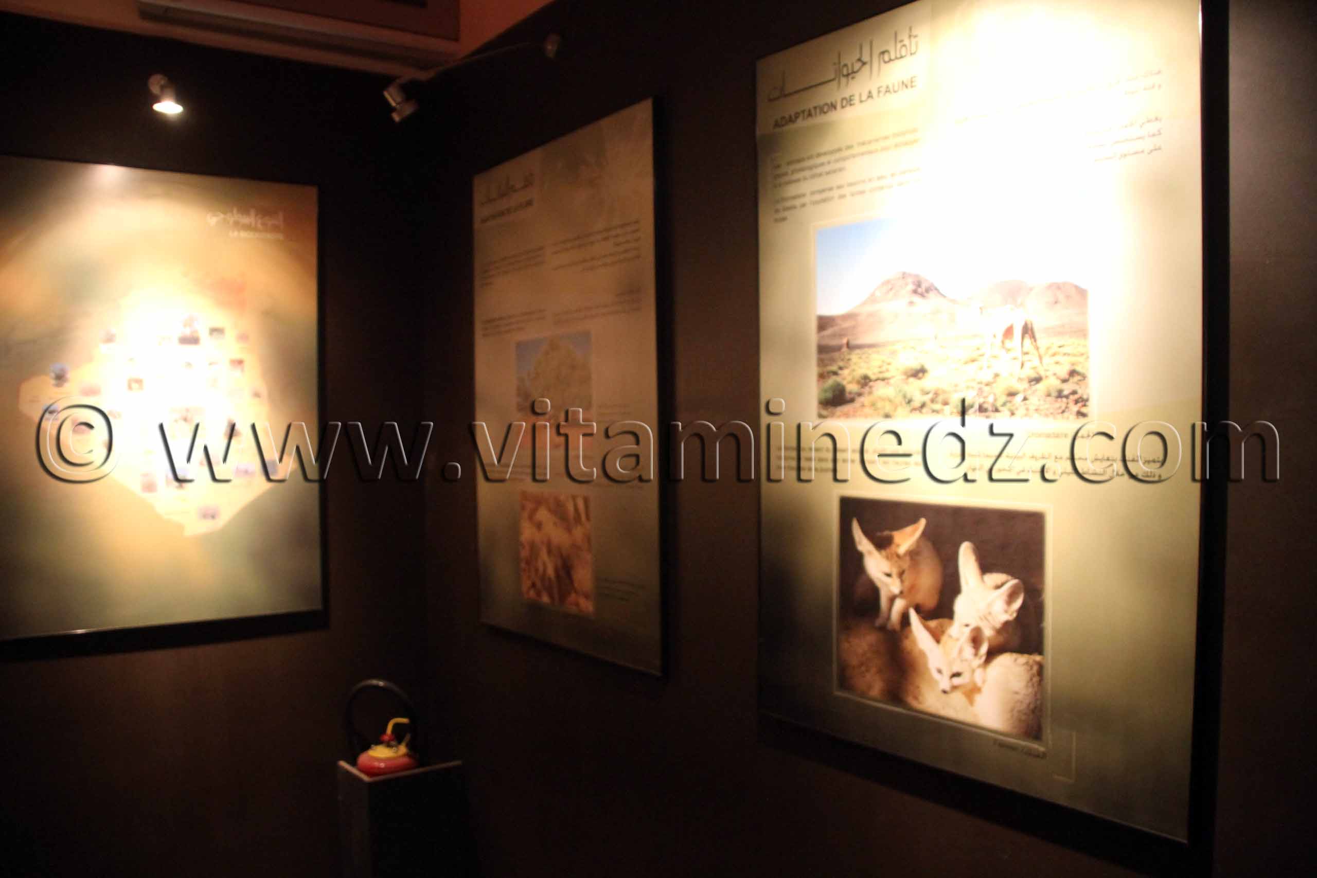 Tamanrasset, Musée de l'Ahaggar (parc culturel de l’Ahaggar)