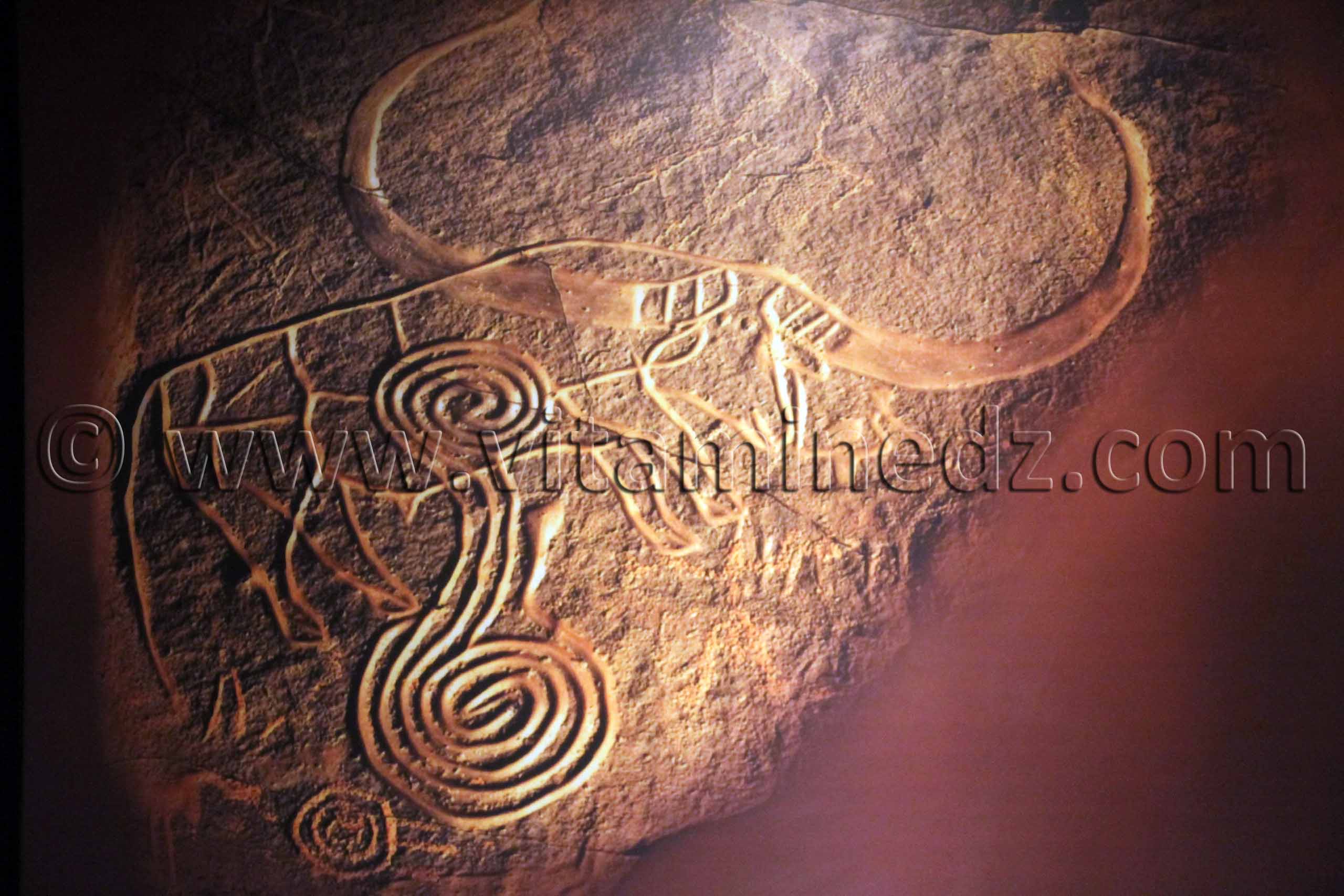 Gravures rupestres, Tamanrasset, Musée de l'Ahaggar (parc culturel de l’Ahaggar)