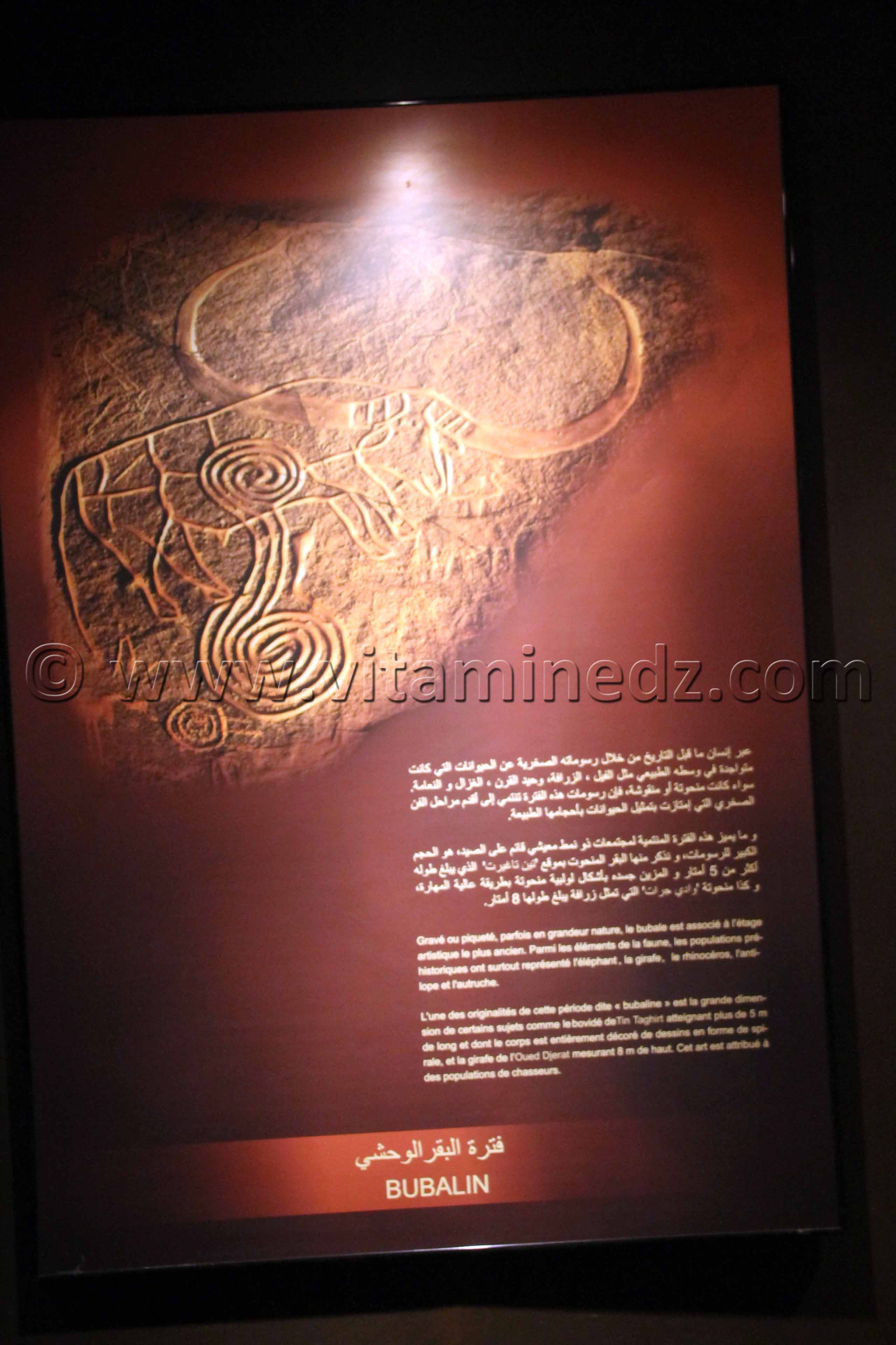 Bubalin, Tamanrasset, Musée de l'Ahaggar (parc culturel de l’Ahaggar)