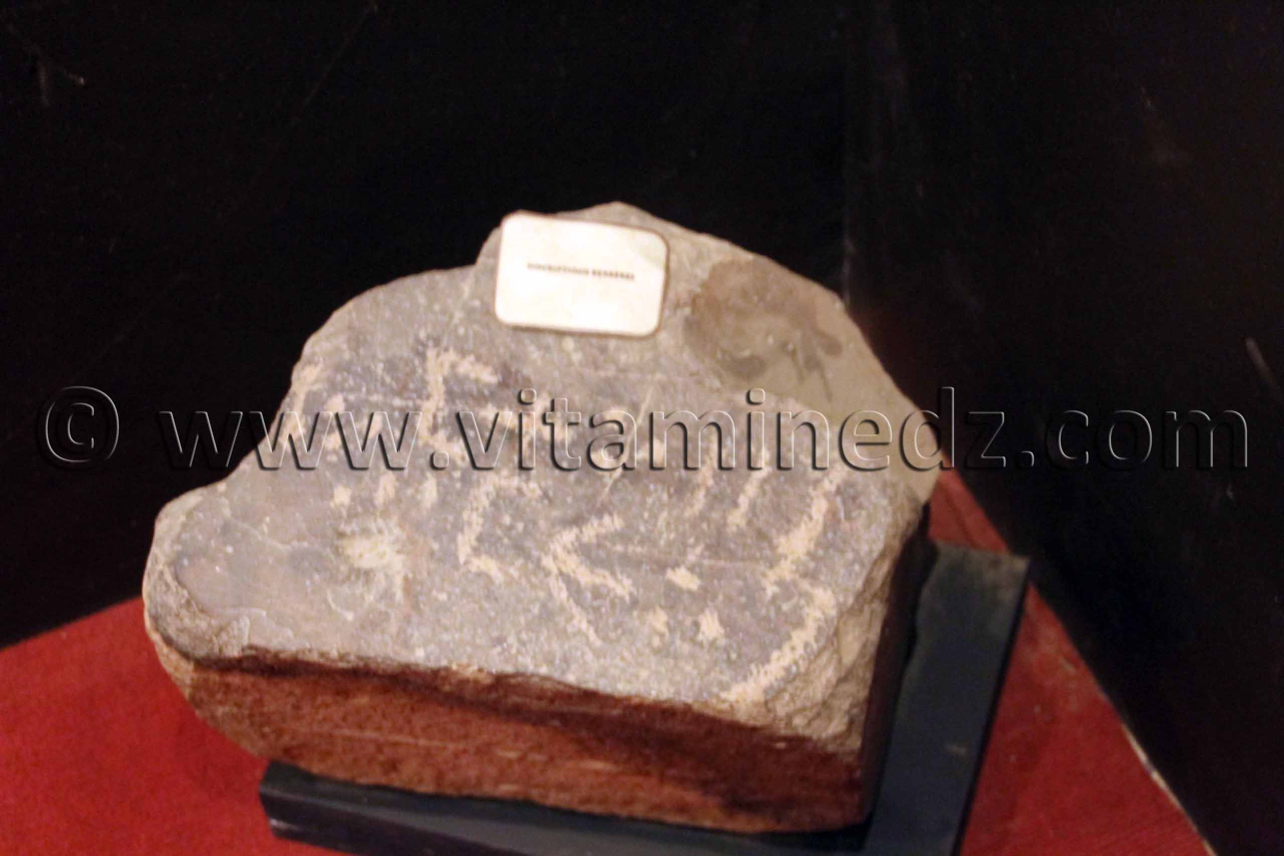 Gravures en Tifinagh, Tamanrasset, Musée de l'Ahaggar (parc culturel de l’Ahaggar)