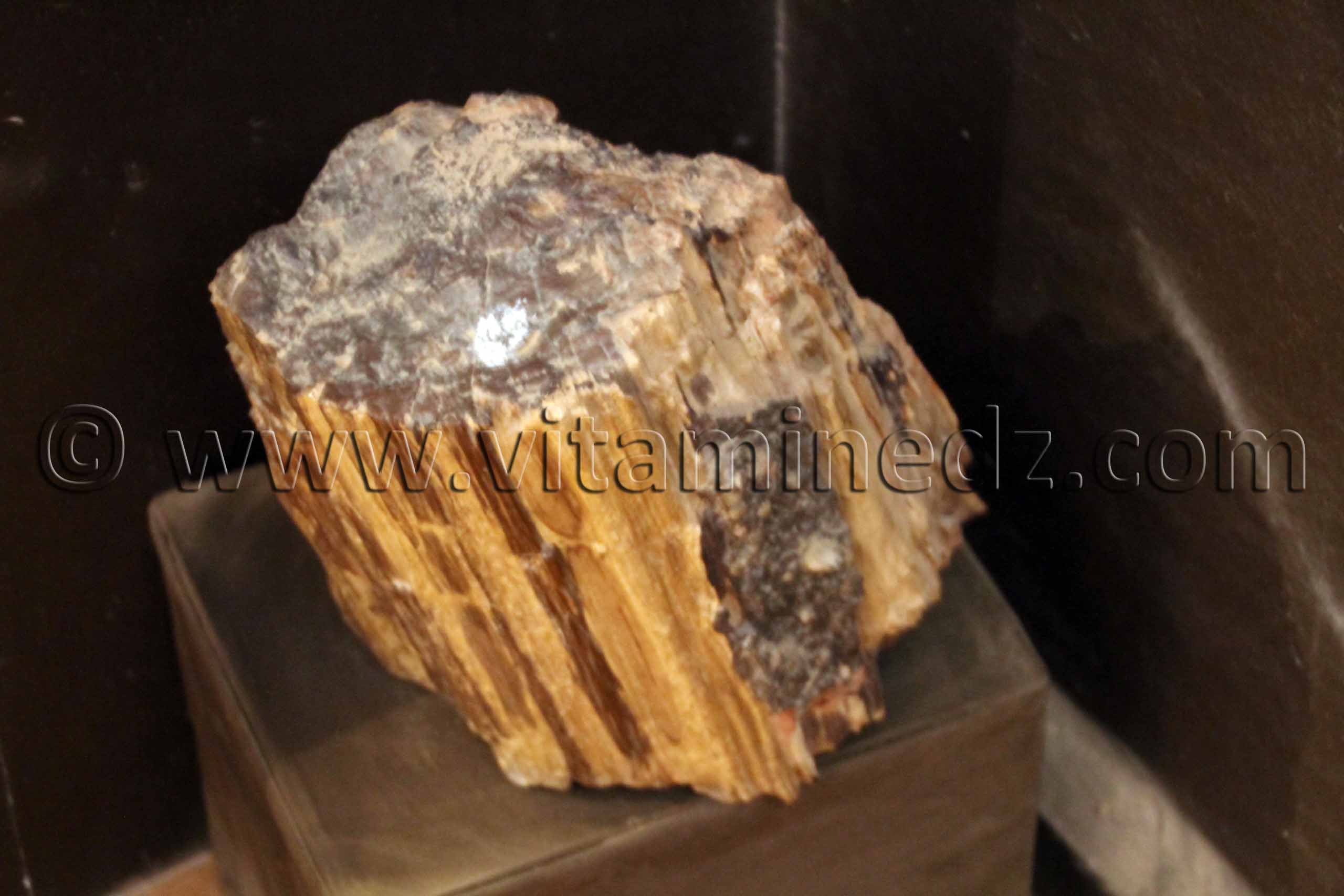 Meteorite, Tamanrasset, Musée de l'Ahaggar (parc culturel de l’Ahaggar)