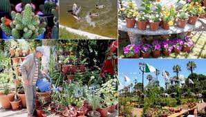 Coup d'envoi hier de la 7ème édition des «Floralies»: Oran capitale des fleurs