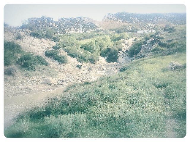 foum tagharist yabous