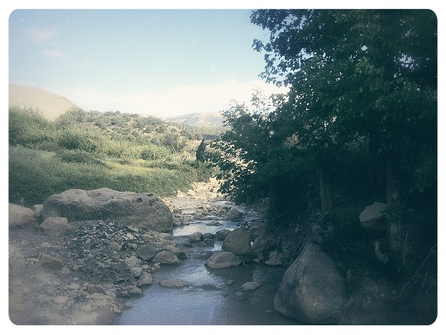 un verger de pommiers à boulazazen