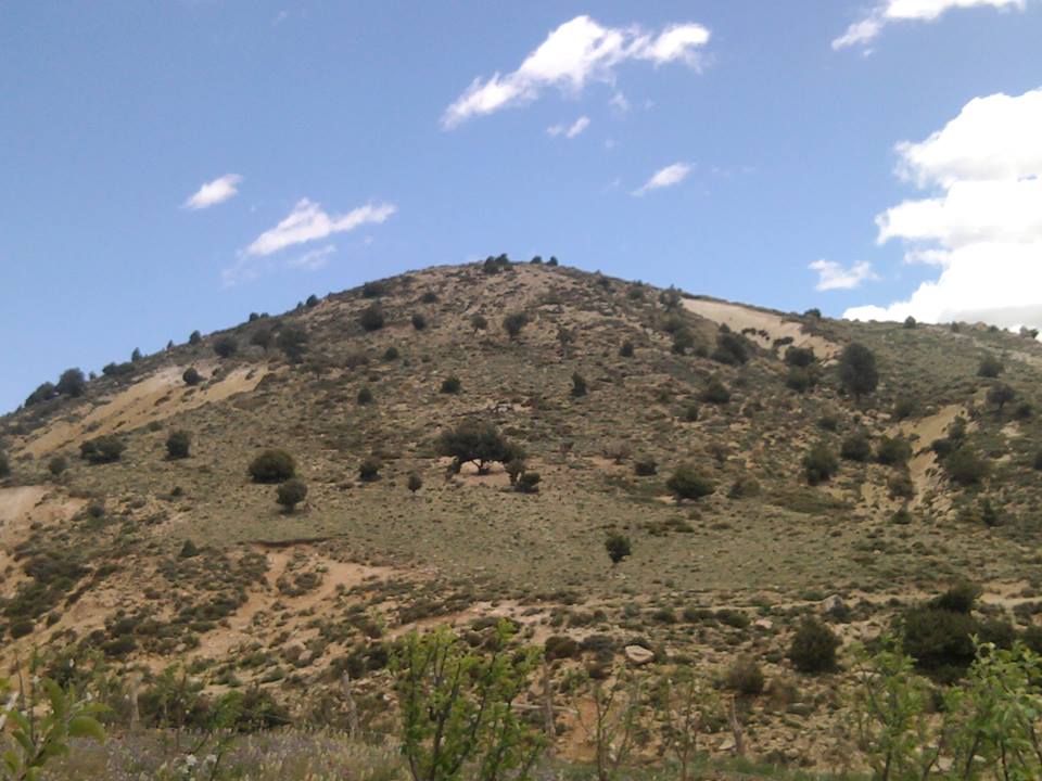 le mont de chélia -