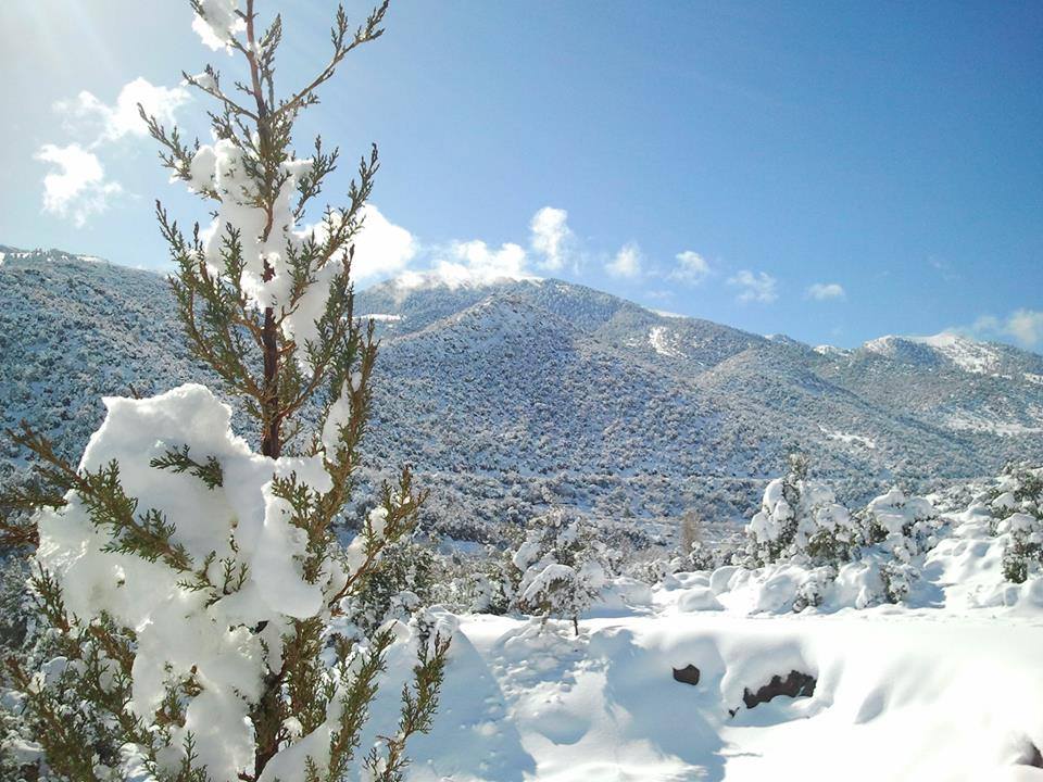 LE MONT CHELIA couvert de neige mois de janvier 2014