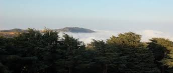 Chréa (Blida) - Le TEDxChréa a parlé écologie en haute altitude sans Nicolas Hulot mais avec Abdallah Benadouda