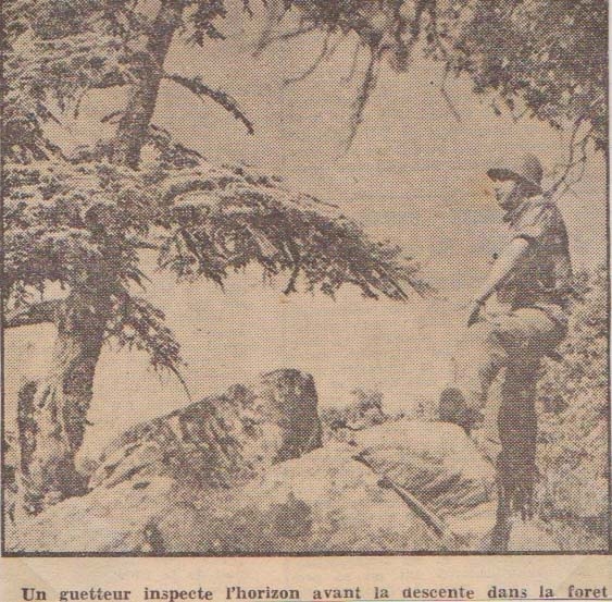 Un guetteyr inspecte l'horizon avant la descente dans la forêt chélia