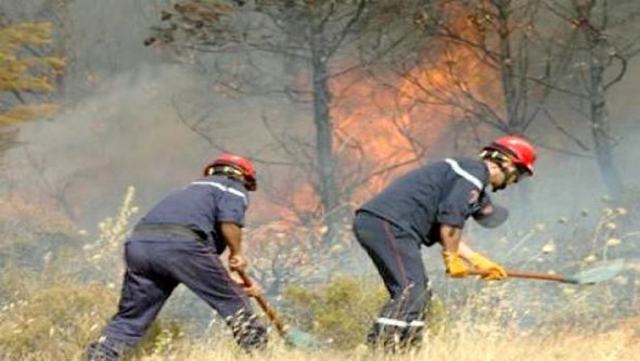 Vingt incendies de récoltes enregistrés depuis le début du mois de juin à Sétif