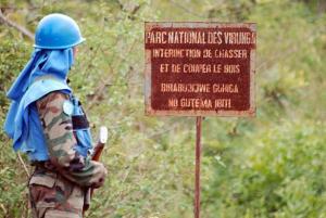 Afrique - RDC: Soco va mettre fin à l'exploration pétrolière dans le parc des Virunga