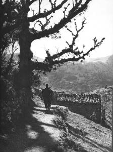 Opération militaire au Djebel Chélia