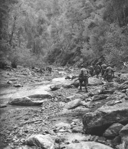 Opération militaire au Djebel Chélia 1