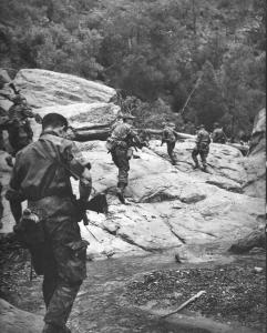 Opération militaire au Djebel Chélia 3