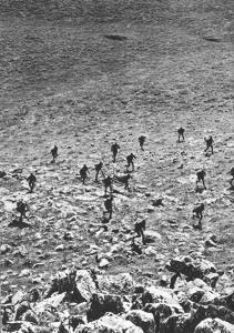 Ratissage à Taouzient   et Yabous