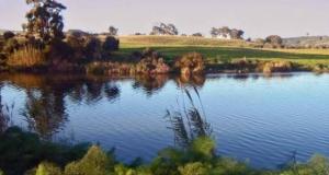 La pollution industrielle et les rejets domestiques menacent le lac et la réserve humide de Réghaïa