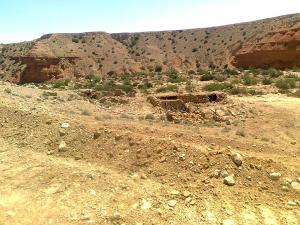 واد مسطاوة بلديةمزريعة : الوجلة الخضراء