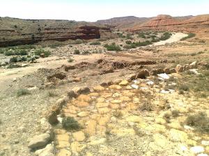 Oued-mestaoua-commune-de-meziraa-el-walja-el-khadhra/