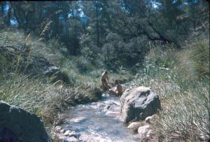 Gergovie Eau  Bouhmama