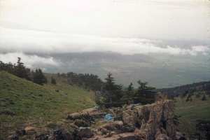 بيفواك بوحمامة