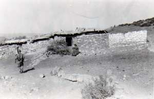 عين قيقل تامزة خنشلة