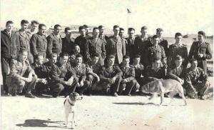 Officiers et Sous officiers  1er RA et B1 et Harka 1959 Bouhmama  Khenchela