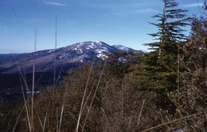 31- Le Mont de Chélia au sommet  Ras Keltoum 2328 m Yabous Khenchela