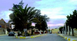 Cité des 150 logements à Biskra: Touche pas à mon environnement  Initiatives contrariées