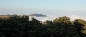 Blida - Les forestiers aux aguets  Prévention et lutte contre les feux de forêts