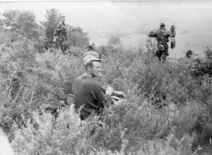 عملية واسعة لمحاصرة الثوار بجبل شليا بوحمامة