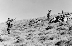 عملية واسعة لمحاصرة الثوار بجبل شليا بوحمامة