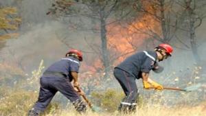 تسجيل اكثر من 20 حريقا منذ شهر جوان بسطيف