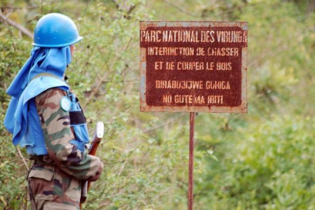 Afrique - RDC: Soco va mettre fin à l'exploration pétrolière dans le parc des Virunga